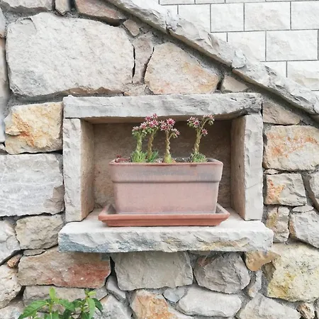 Podbarje Bol